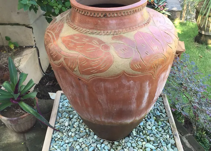 アンジン 2
